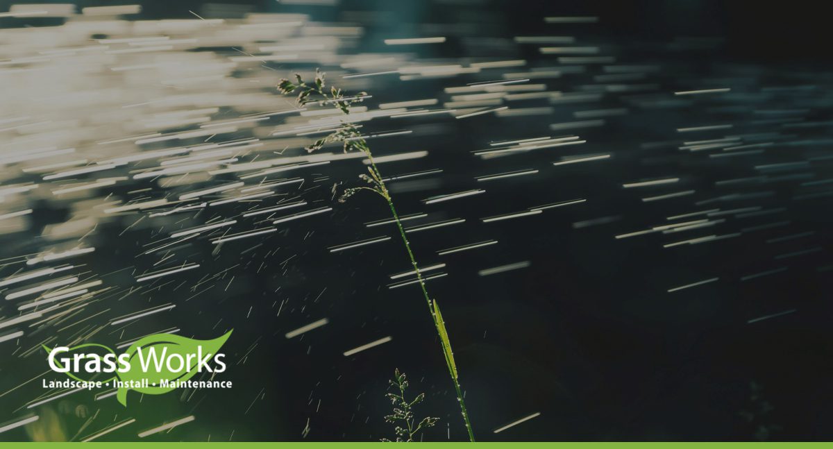 A Quick Guide to Austin's Stage 2 Drought Water Use Restrictions