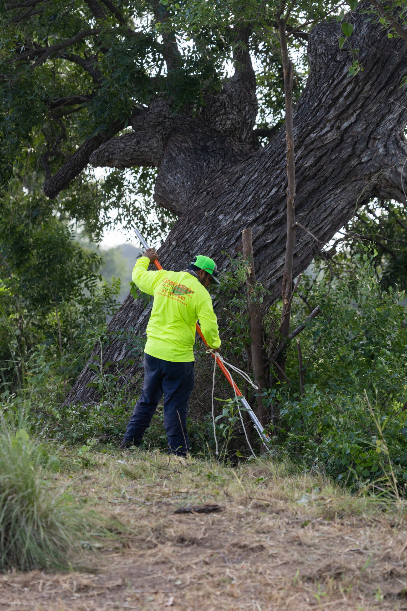 Grass Works Austin Lawn Care - Residential and Commercial Landscaping Services