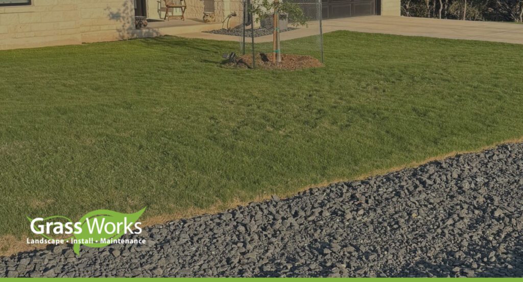 Fescue vs. Ryegrass: Which Is Better For Your Central Texas Lawn?
