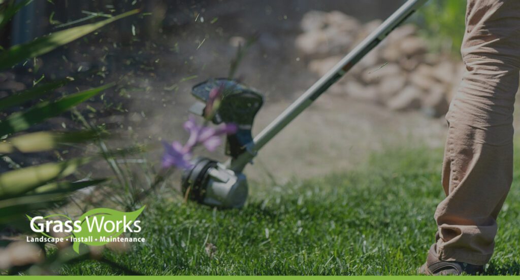 8 Winter Lawn Care Tips for Central Texas