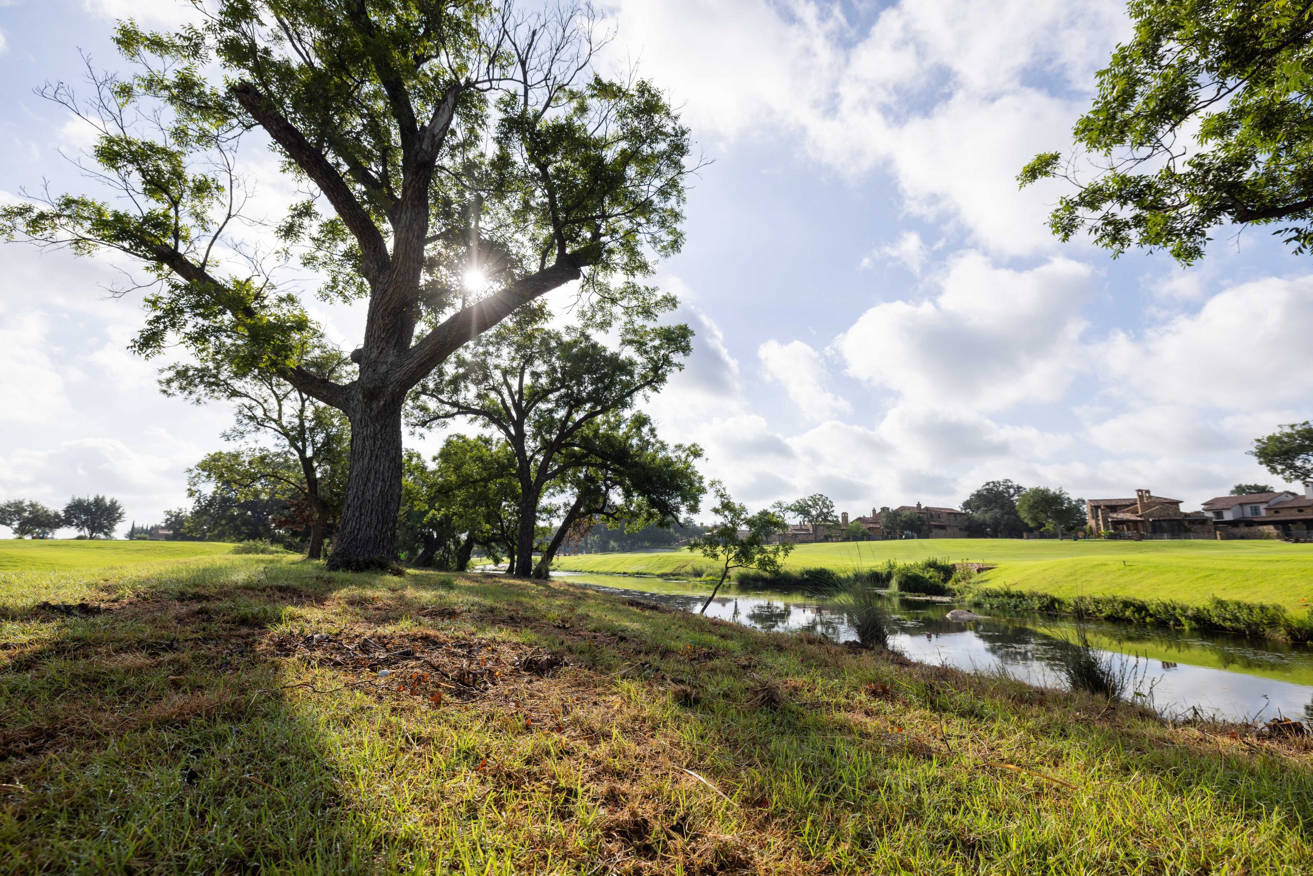 Grass Works Austin Lawn Care - Residential and Commercial Landscaping Services